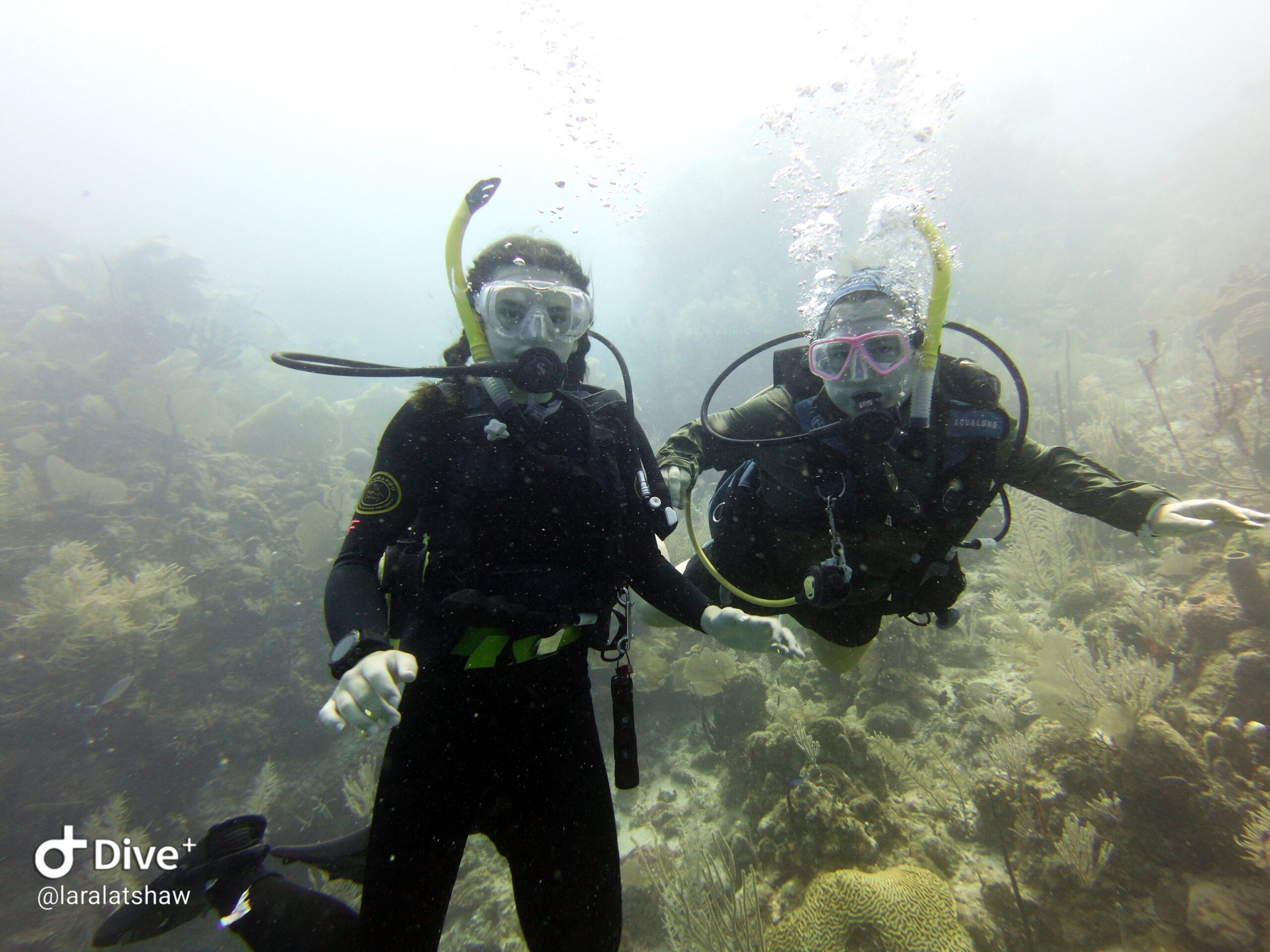 crystal and bria lara open water student