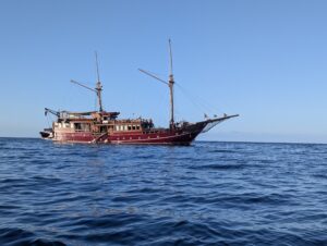 the arenui in indonesia dive boat